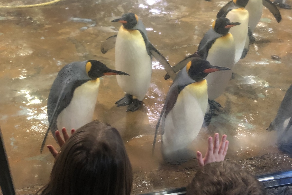 AusflugZoo2